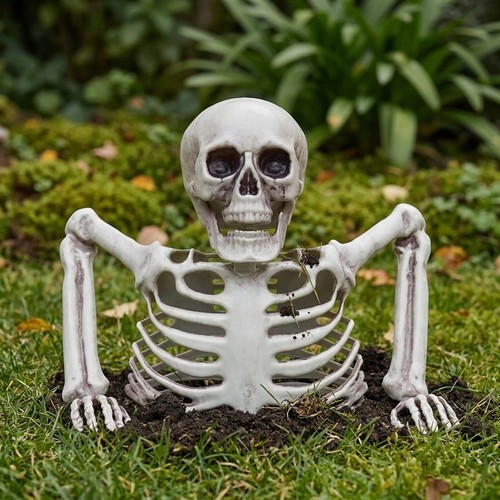Halloween realistic skeleton - halloween,